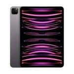 iPad Pro 11 (M4) Nano-texture Glass (2024)