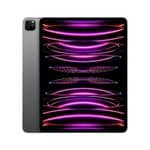 iPad Pro 12.9 (6th Gen) (2022)