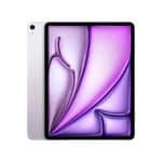 iPad Pro 13 (M4) Standard Glass (2024)