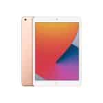iPad 10.2 (8th Gen, 2020)