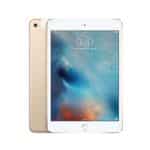 iPad Mini (4th Gen, 2015)