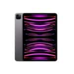 iPad Pro 11 (4th Gen, 2022)