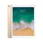 iPad Pro 12.9 (2nd Gen, 2017)