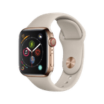 Watch Series 4 40mm Stainless Steel
