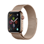 Watch Series 4 44mm Stainless Steel