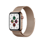 Watch Series 5 44mm Stainless Steel