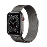 Watch Series 6 44mm Stainless Steel