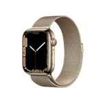 Watch Series 7 45mm Stainless Steel