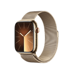 Watch Series 9 45mm Stainless Steel